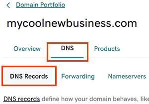 GoDaddy DNS records