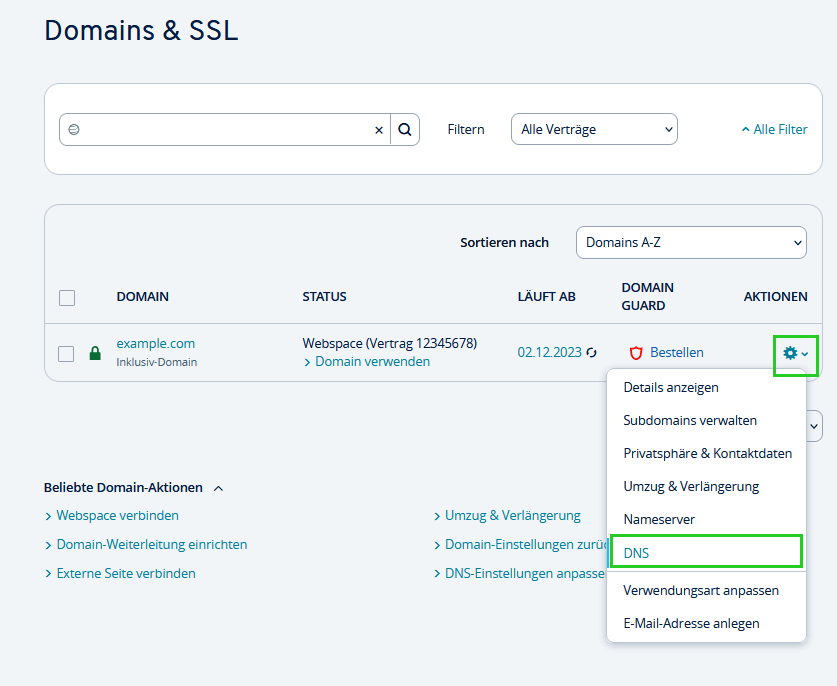 Ionos DNS Menüpunkt